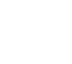 Cosmetic Icon