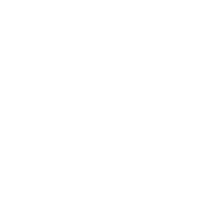 Emergency Icon